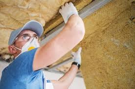 Best Basement Insulation  in Allison, IA